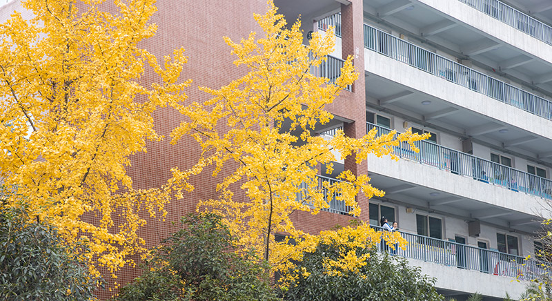校园风光 | 四川省南充市白塔中学