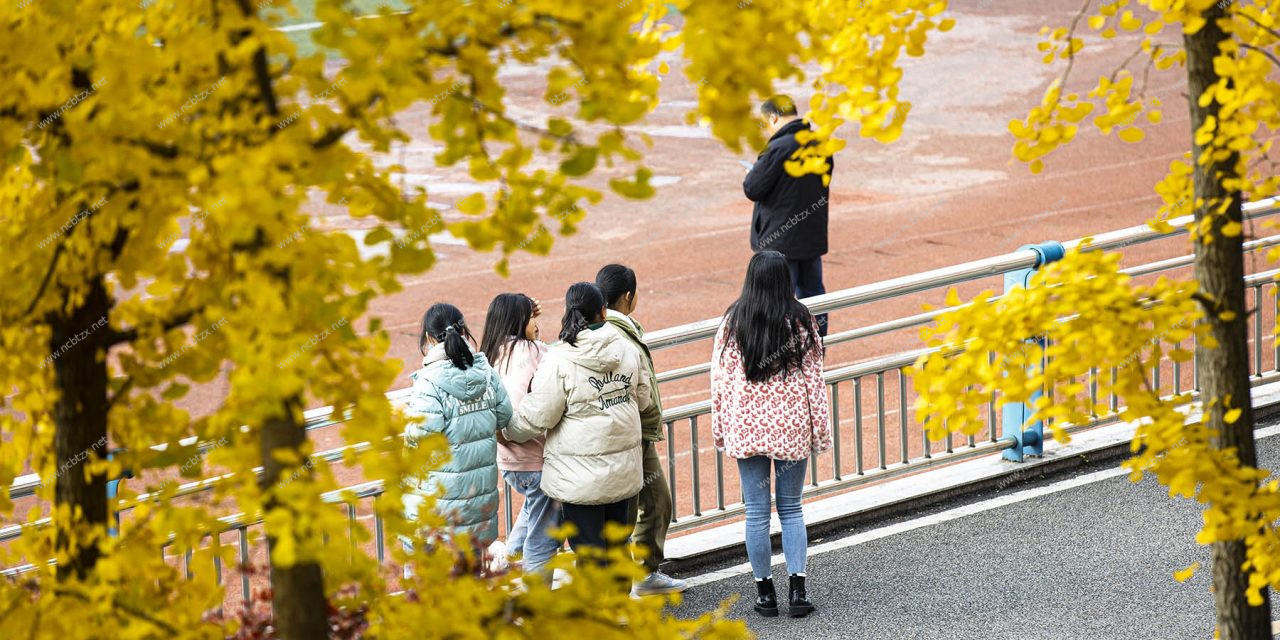 春华秋实