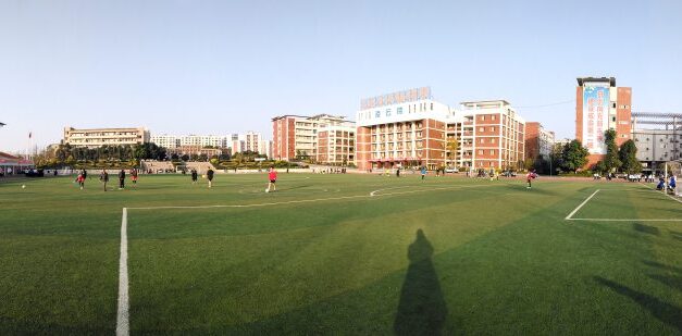 民政部儿童福利司儿童保护处处长杨剑到南充市白塔中学调研   