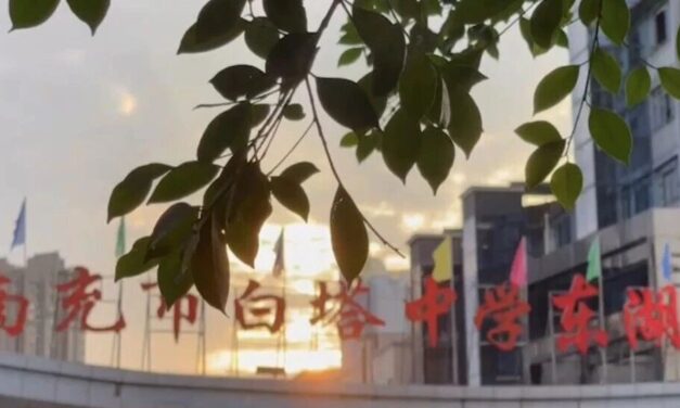 春润东湖育桃李 策马扬鞭启新程 ‖白塔中学东湖校区2026年春季开学通知