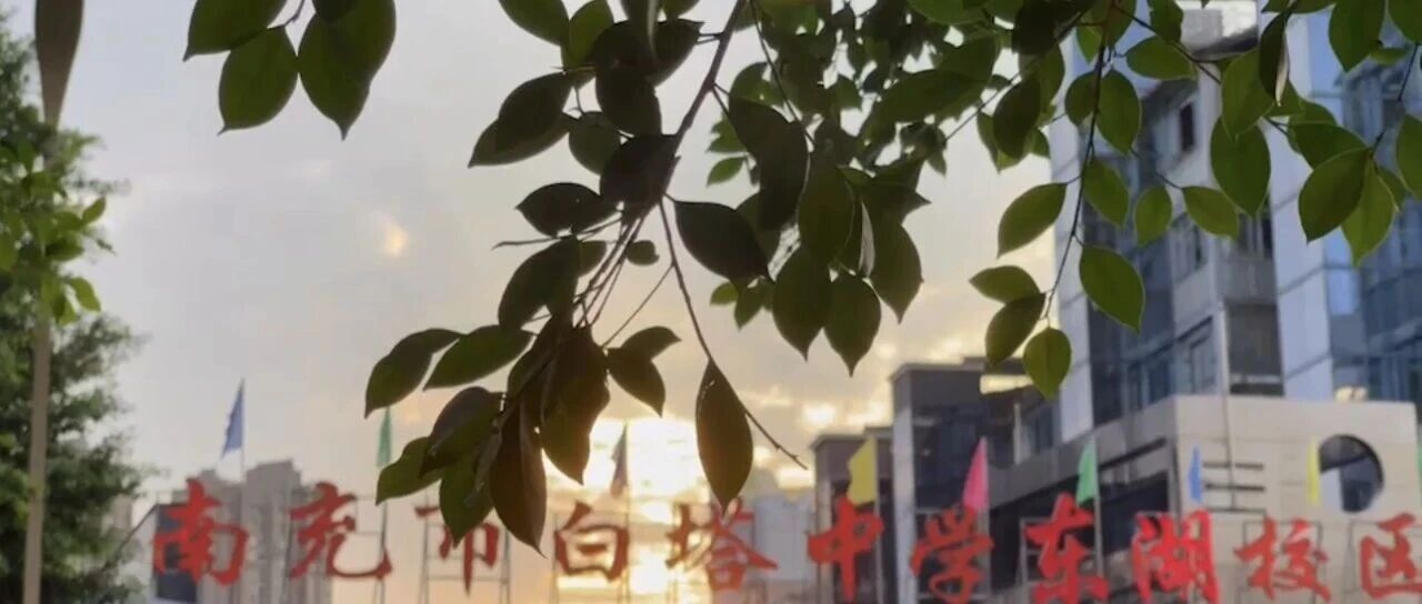 白塔中学东湖校区2026年春假放假通知